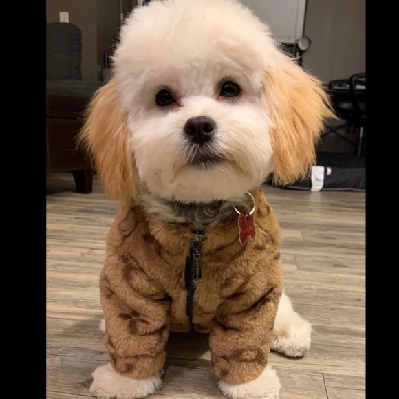 NEW 🐾 designer doggie jacket - Picture 8 of 10
